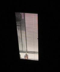 ���ð�Ҷ���������澡ʧ