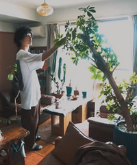 ��Ҫ��������