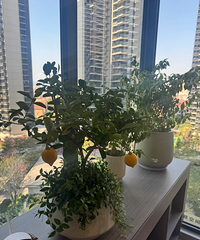 ȫ���򷿻��Ǵ��� 30 �ꣿ����3���ˣ���֪����ѡ����ʺ�