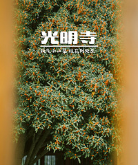 �����¹�����԰