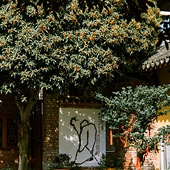 �����¹�����԰