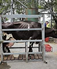 [����]�������ε���ѧ��153Ԫȥũ���޿��ľͺ�