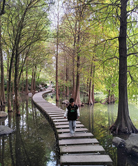 ����ɽ��԰����������������ɽ������һ·�羰��������Ҳ����