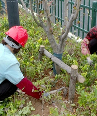 ������У���������·�����ߡ�