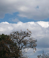 ����12ʱ4�֣�̨����ʽӭ������