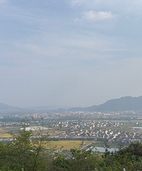 [¶Ӫ]�������£����������ֳ����������տ�