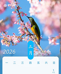 ���ˣ�2026��������ͨ��ʱ���