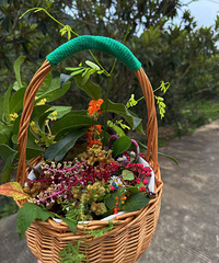 [������]ͩ�����Ϫ�ŵ�����ʰ��Ȼ������