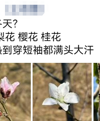 ����ö�̨�������²���Ҳ̫������.....���������ˣ���Ҳ��