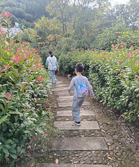 ����ǰ��ˮ������ɫ���ݺ��������·���ˣ������ߣ�������