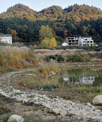 ������ɫ