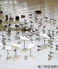 �񻷡������޶�������������