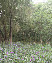 ���ſڵ��̻���һ��Ҳͦ����