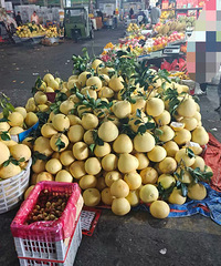 �����˱�ʾ��Բ����ˣ��ܵ������г���Ҳ�����ˣ�