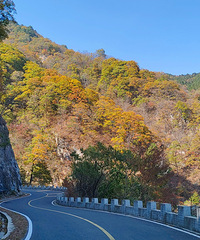 ��կ�����롪���й����빫·֮һ