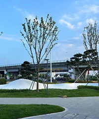 3760ƽ�������õر����������Ҹ��ռ䡱