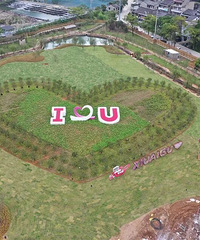 �����������У�����������Ƭ����������������