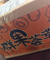 ������յ���Ķ�����������