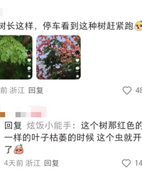 ��һ��ҧһ�������ꡭ�����³�ͣ���£����еö��ǿ�����