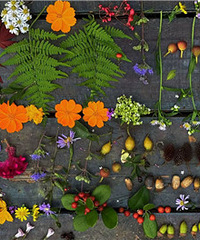 ����������ʰ��Ȼ������