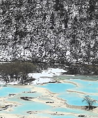 2025�μ�֮�ɶ���կ���������Σ��ھ�կ���￴������ѩ