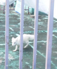 ̨��һС��������¥�������꣬�ھӲ�����