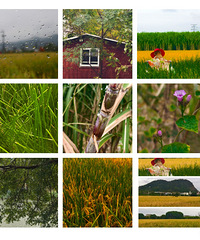 ΢������