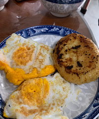 ��Ԫһֻˮ������С�����˻��ϻ�