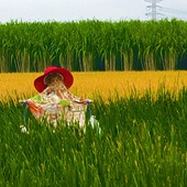 ΢������