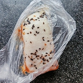 ��һ���汾�ĸ����