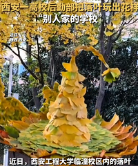 ������������һ��ѧ����Ҷ����У԰ͯ������