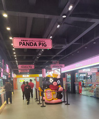 ����ͷ�����������