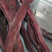 ��İ���æ��