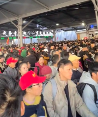 �ȹ����˻���