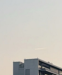 ����ʲô�������ƶ�