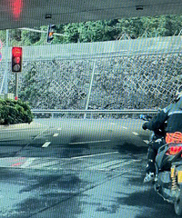 Ħ�г����ڻ�