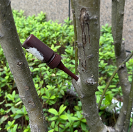 �����ڸ���