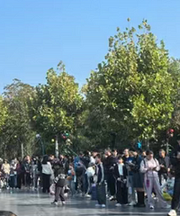 ����Ҳ��������