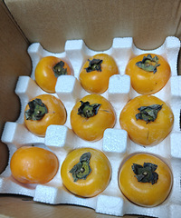 �յ���������