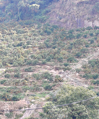 ժӣ䳵ɽǾͦΣյģʹɽ