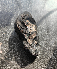 �༶����ͬѧ���۷֣�Ҫ��Ҫȫ��ͬѧ��ѧһ����У����