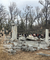 ����԰֮԰�������ԫ