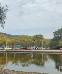 [����]��ٽ����ˣ�̨�ݼҳ����˶���Ǯ����