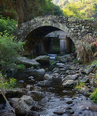 ������ϼ�ӹŵ�ͽ����10�����㣬����Լ700��