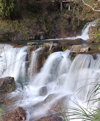 ��̨ɽ���ٲ������ư��磬��к���£�ʮ��׳��