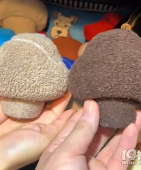 ������ҫ���Ӱ����ӵ���Ģ��״