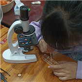 ץ���޶һ�����΢��