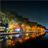 ҹ����ʲɲ��