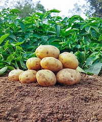 �����Ǵ󻧡��������������׷����ܶ��˲���Ȱ��ÿ�춼�ڳ�