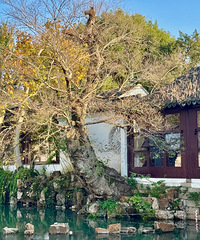 һ������գ������ǽ���